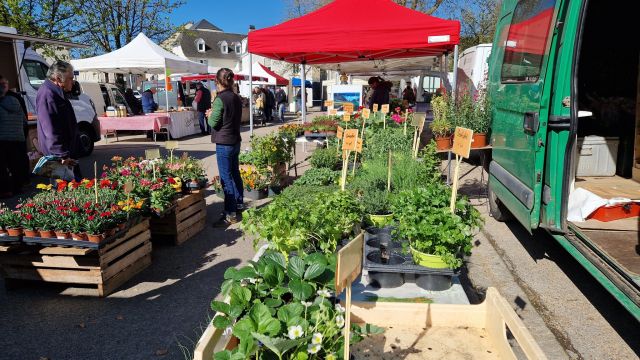 Image: 2026-04/660541651-35839381702327296-8732478680304598103-n.jpg